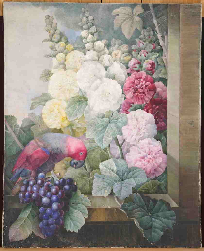 10. Pierre-Joseph RedoutÇ (1759-1840), Fleurs _ roses trÇmiäres-raisins et le lori cramoisi-1836 Pari
